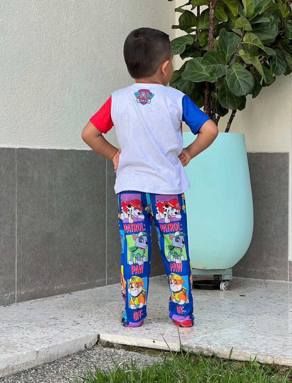Pijama Niños Paw Patrol Amigos